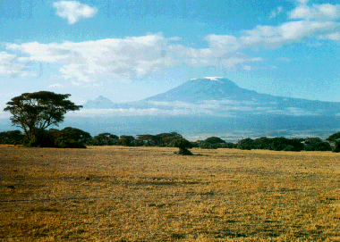 Picture of Kili